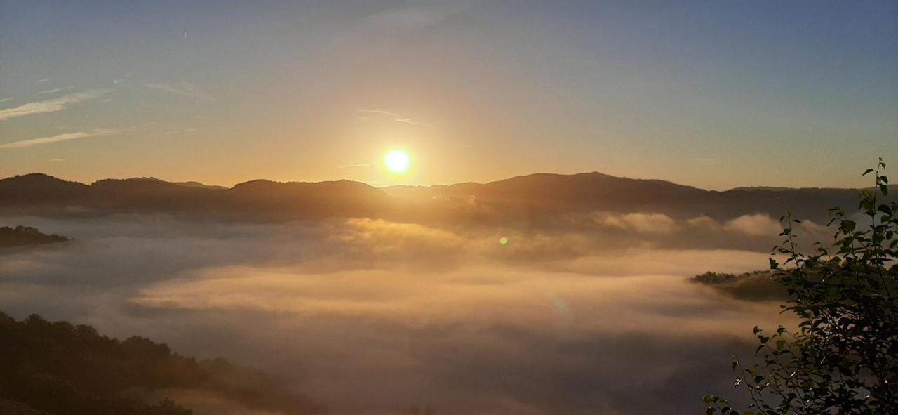 Ondarbaso Apartamentos Rurales III Zestoa Dış mekan fotoğraf