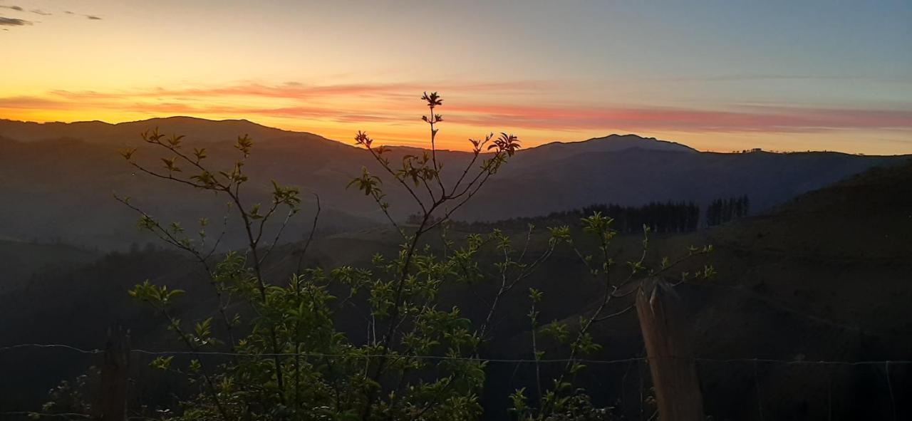 Ondarbaso Apartamentos Rurales III Zestoa Dış mekan fotoğraf